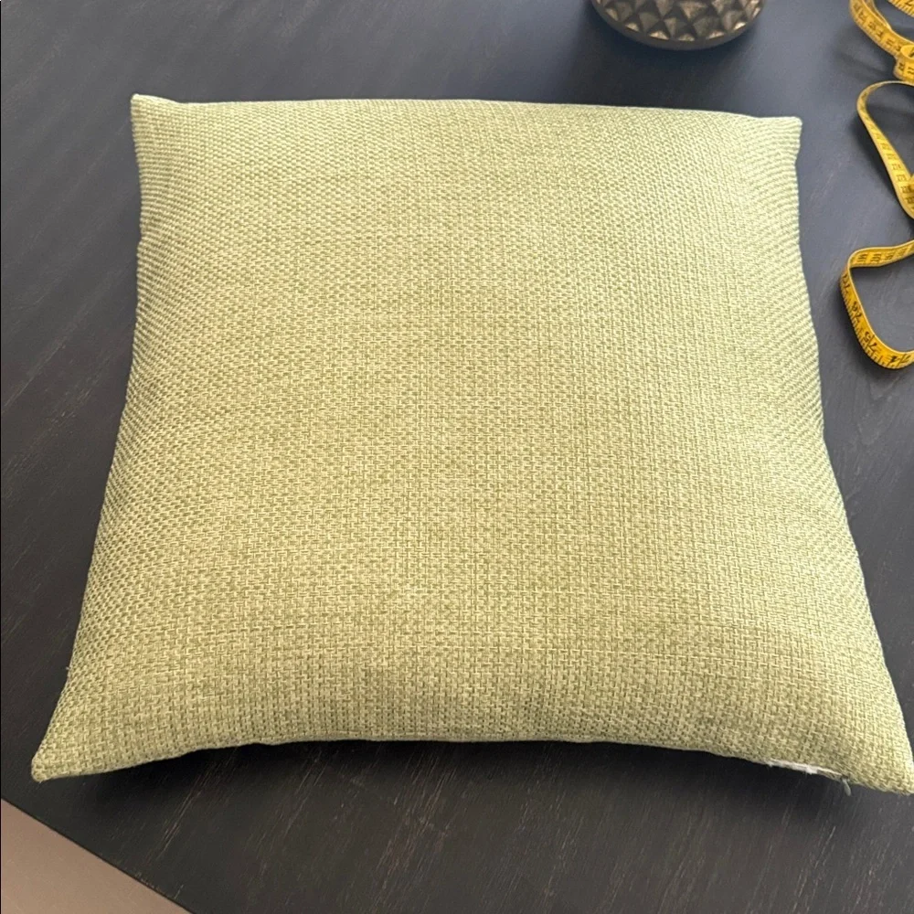 Accent pillows (2) EUC